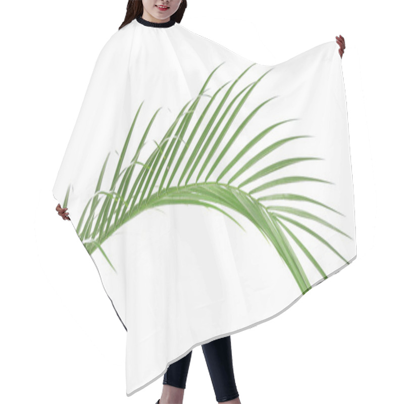 Personality  Beautiful Palm Leaf Hair Cutting Cape