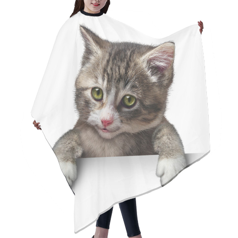 Personality  Cat Kitten Blank Sign Hair Cutting Cape