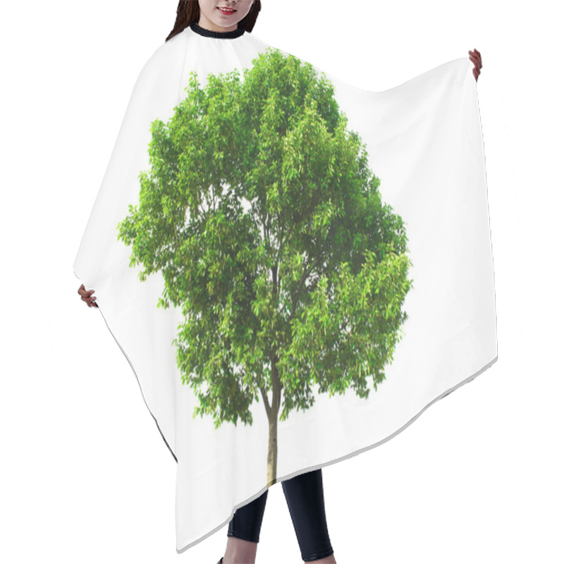 Personality  Green Tree Isolated With White Background Hair Cutting Cape