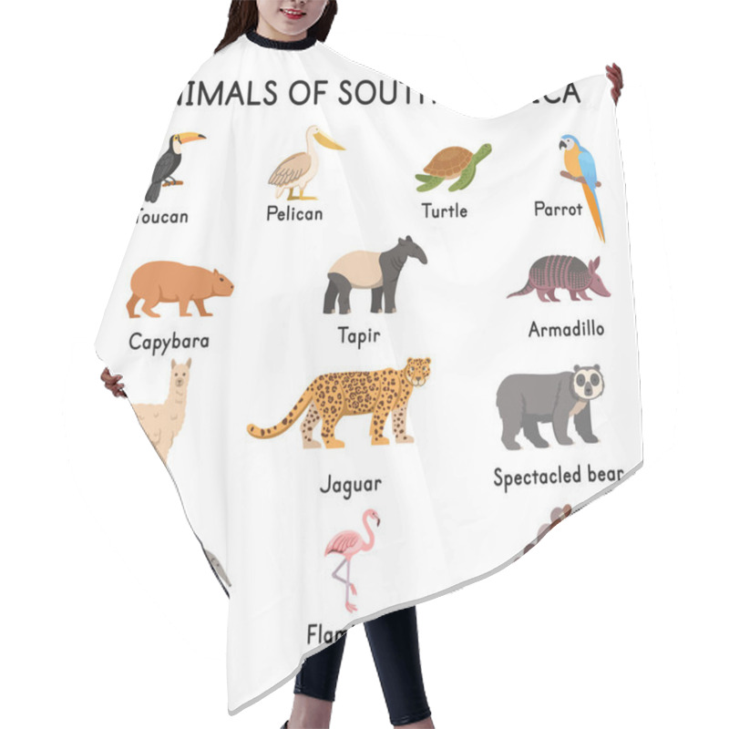 Personality   South Of American Animals: Toucan, Pelican, Turtle, Parrot, Capybara, Tapir, Llama, Jaguar, Spectacled Bear, Flamingo, Sloth, Armadillo, Ant-eater On A White Background.Flat Cartoon Illustration. Hair Cutting Cape