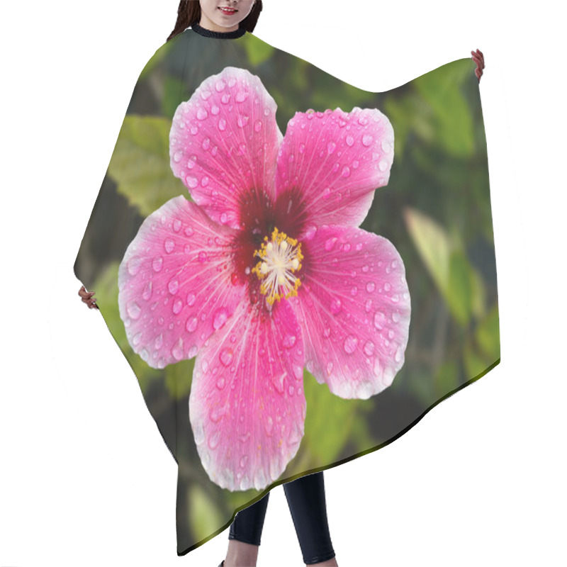 Personality  Backlit Hibiscus Blossom In Garden Hair Cutting Cape