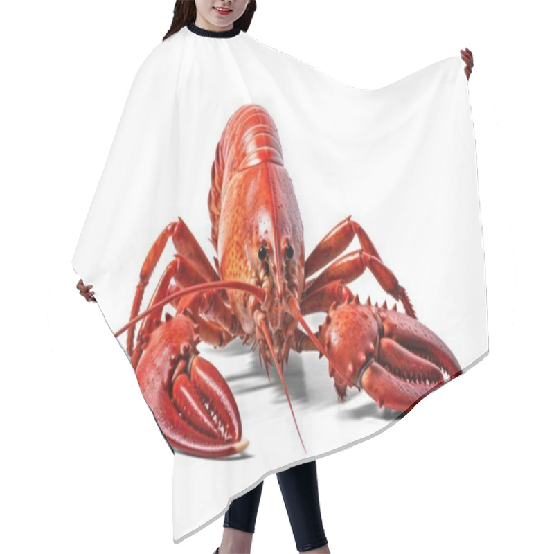 Personality  Seafood, Red Lobster Isolated On Transparent Background, Png File Hair Cutting Cape