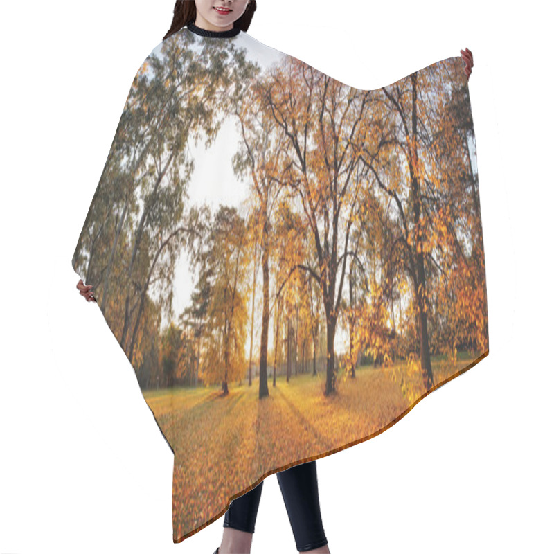 Personality  Autumn Panorama In Park Hair Cutting Cape