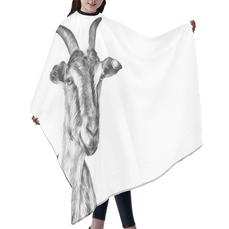 Personality  Drawing Goats, Portrait Hair Cutting Cape