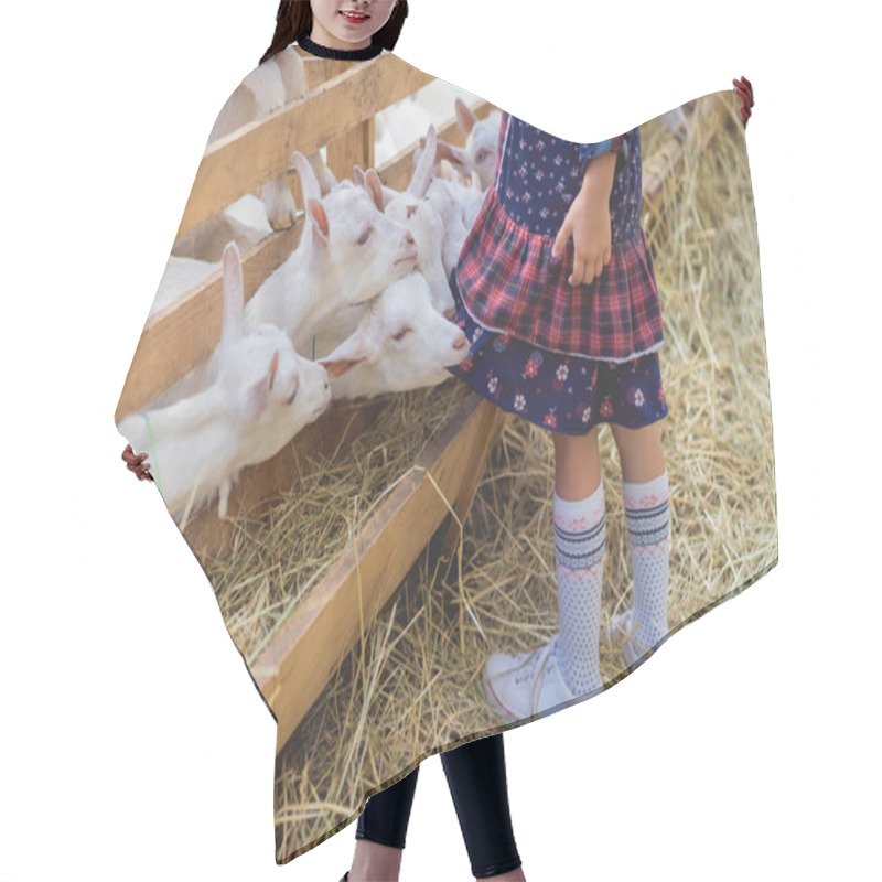 Personality  Cropped Image Of Goats Biting Kids Dress At Farm Hair Cutting Cape