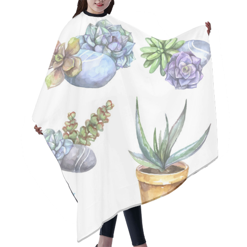 Personality  Succulents With Stones And Aloe Hair Cutting Cape