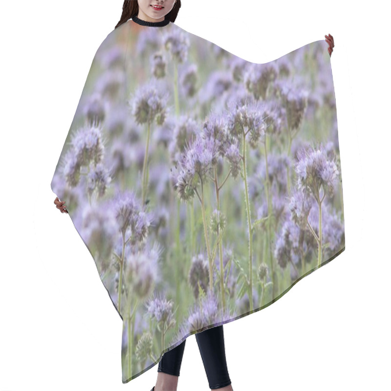 Personality  Meadow Herbs Hair Cutting Cape