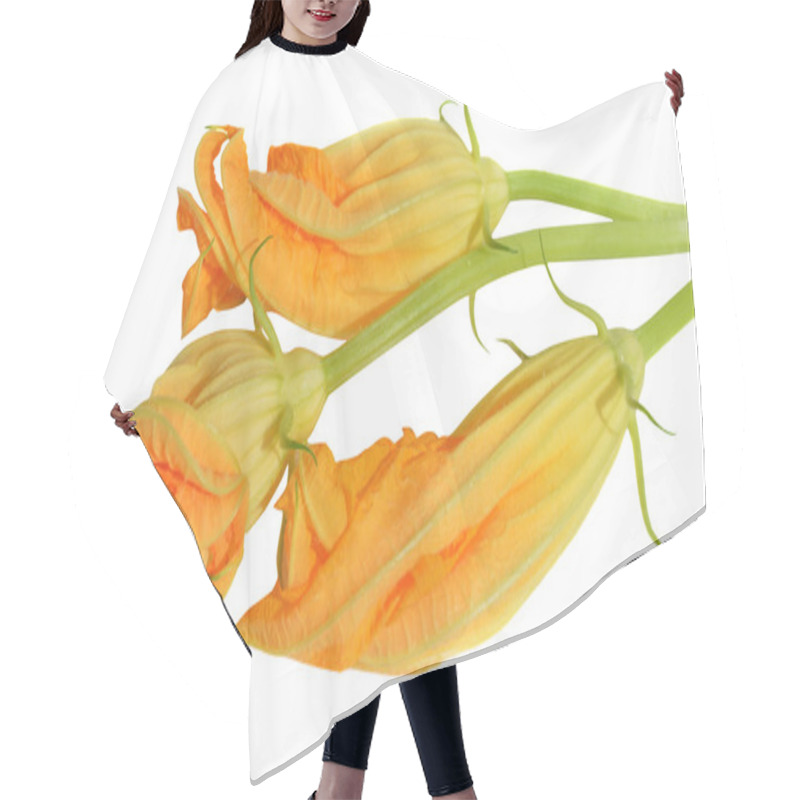 Personality  Yellow Courgette Blossoms Hair Cutting Cape