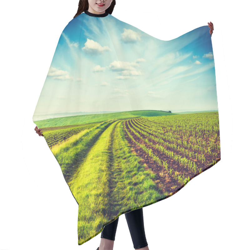 Personality  Green Fields Of Moravia Hair Cutting Cape