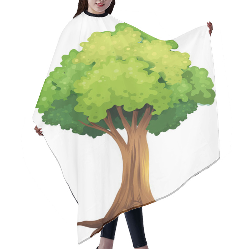 Personality  A Giant Tree Hair Cutting Cape