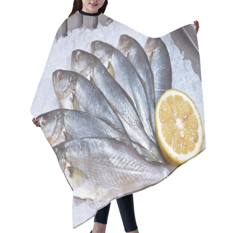 Personality  Bluefish On Ice Hair Cutting Cape