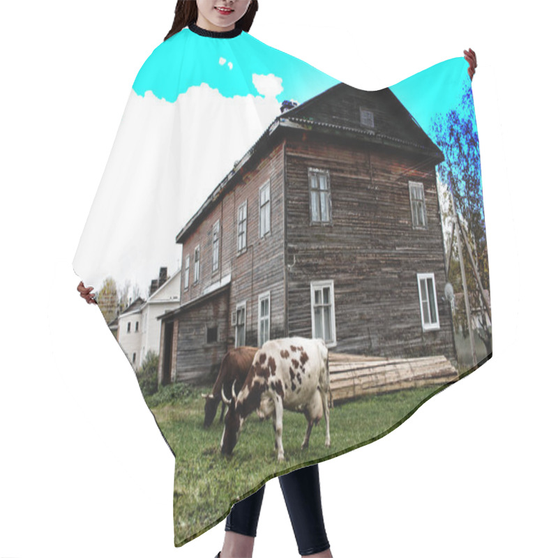 Personality  House And Cows In Provincial Russian Town Hair Cutting Cape