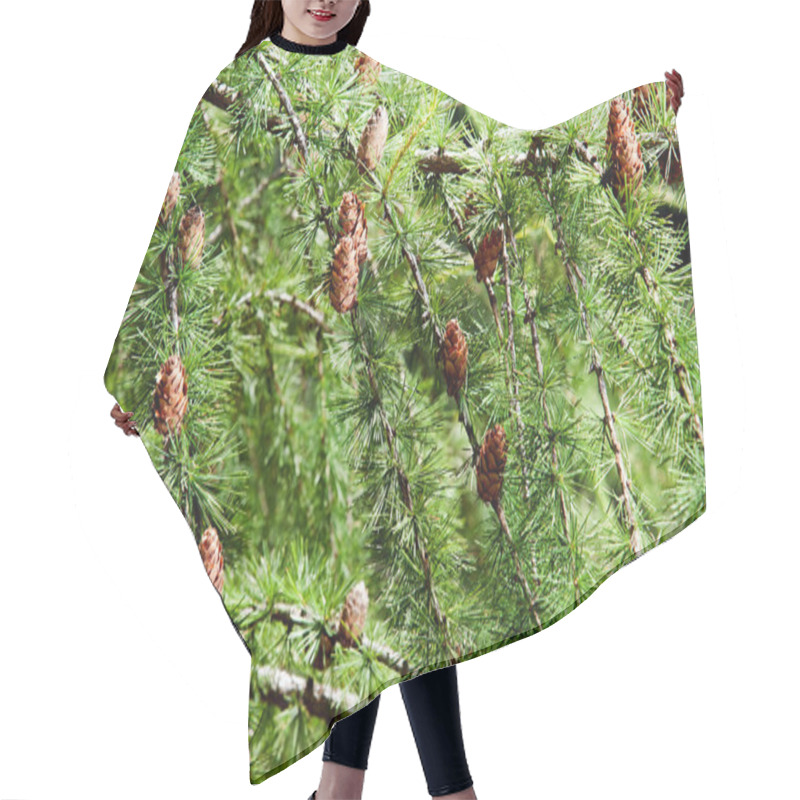 Personality  Pine Branches Hair Cutting Cape