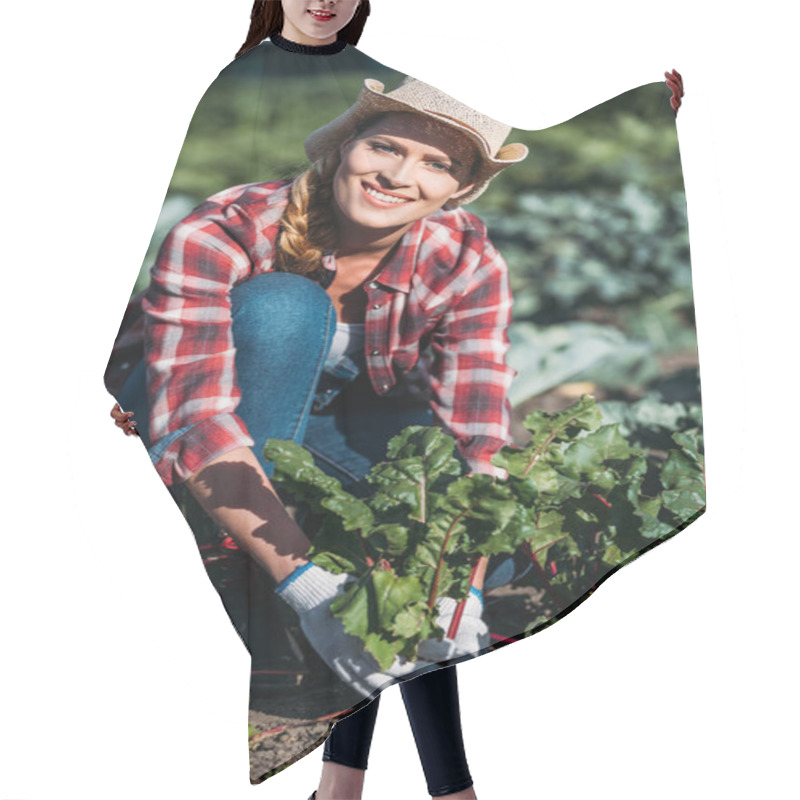 Personality  Farmer Harvesting Beets Hair Cutting Cape