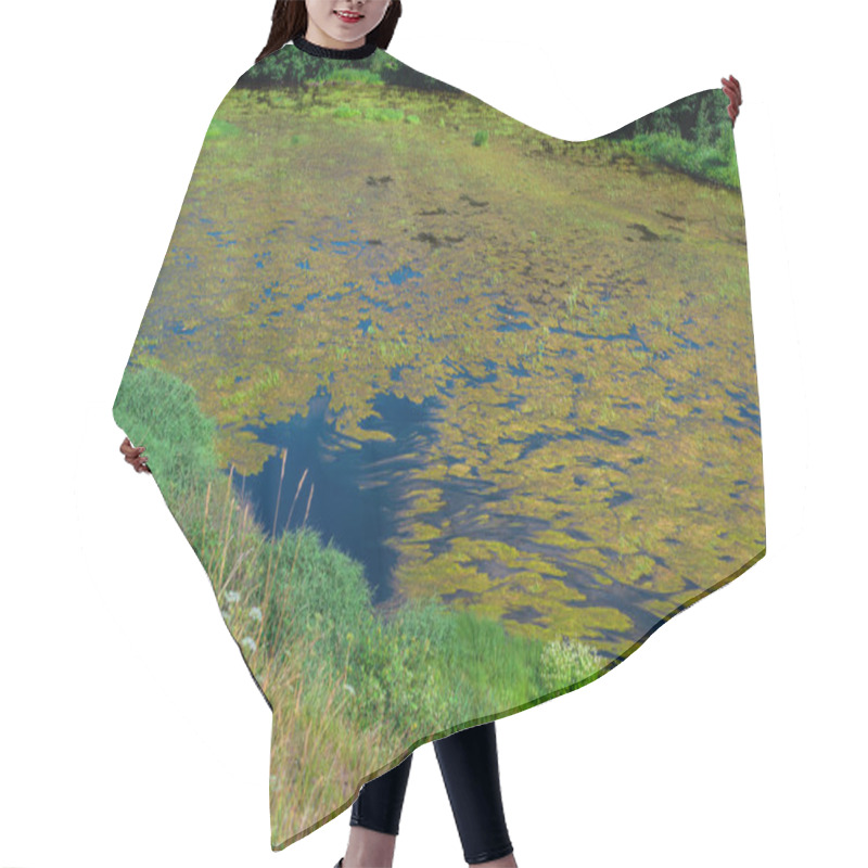 Personality  An Algal Bloom Or Algae Bloom, The Water In The River Bloomed, The Appearance Of A Lot Of Green Algae, Grass, Water Lilies, A Sunny Summer Day, Top View Hair Cutting Cape