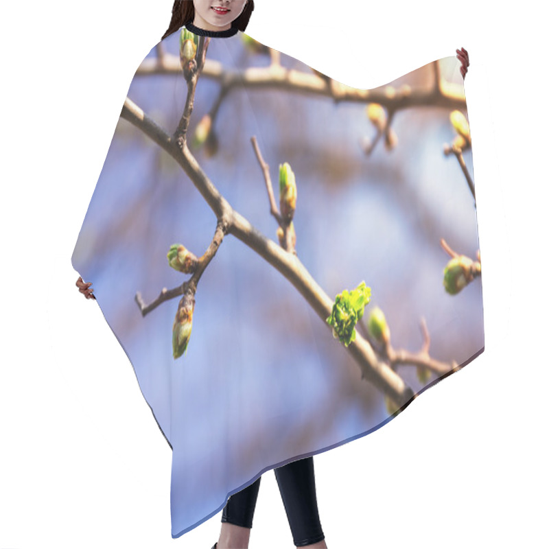 Personality  Spring Tree Buds Hair Cutting Cape