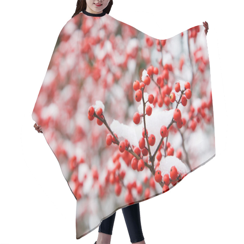 Personality  Hawthorn Berries Hair Cutting Cape