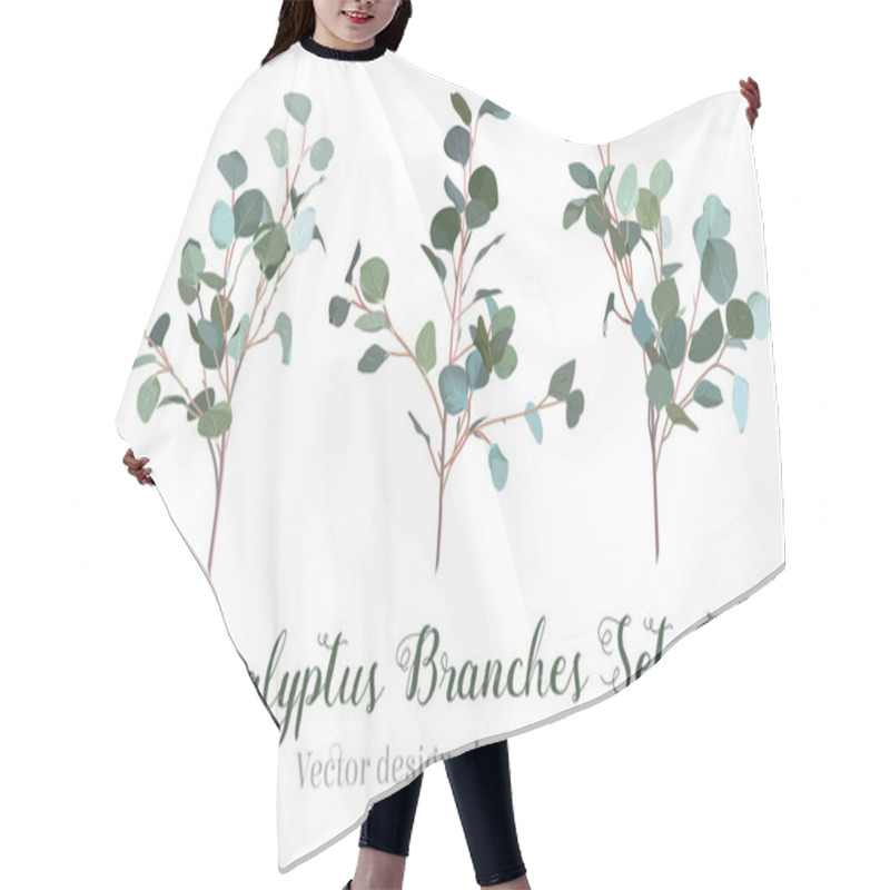 Personality  Silver Dollar Eucalyptus Selection Branches Vector Design Set. Hair Cutting Cape