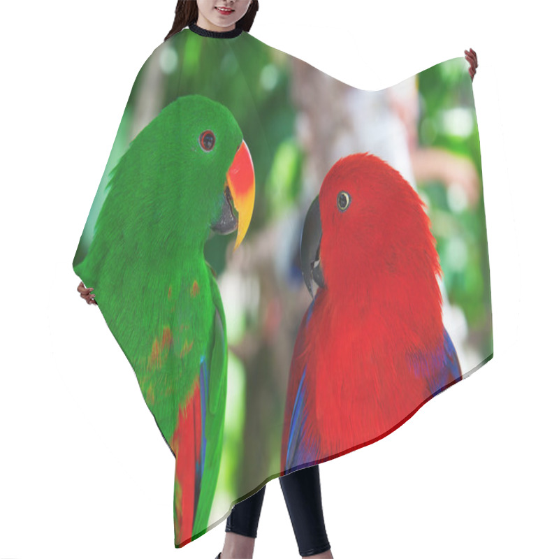 Personality  Pair Of Lori Parrots Hair Cutting Cape