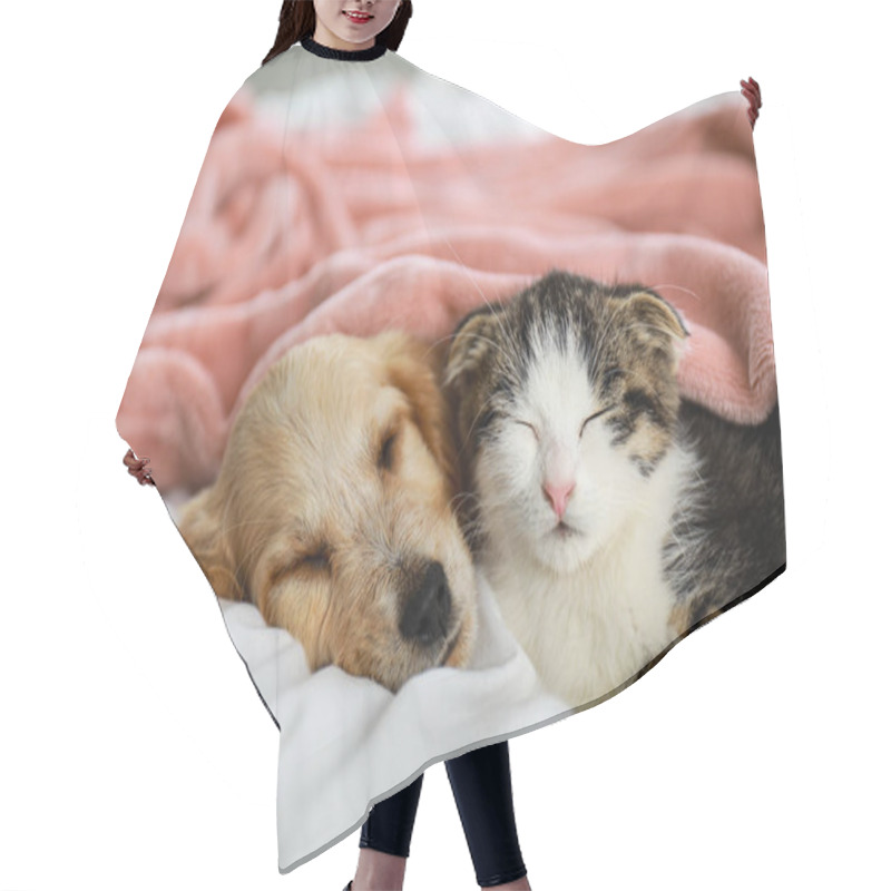 Personality  Adorable Little Kitten And Puppy Sleeping On Bed Indoors Hair Cutting Cape