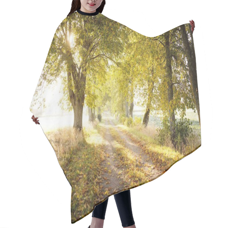 Personality  Single Lane Rural Road (alley) Through The Linden Trees At Sunrise. Golden Sunlight, Sunbeams, Fog, Shadows. Fairy Autumn Forest Scene. Art, Hope, Heaven, Wilderness, Loneliness, Pure Nature, Ecology Hair Cutting Cape