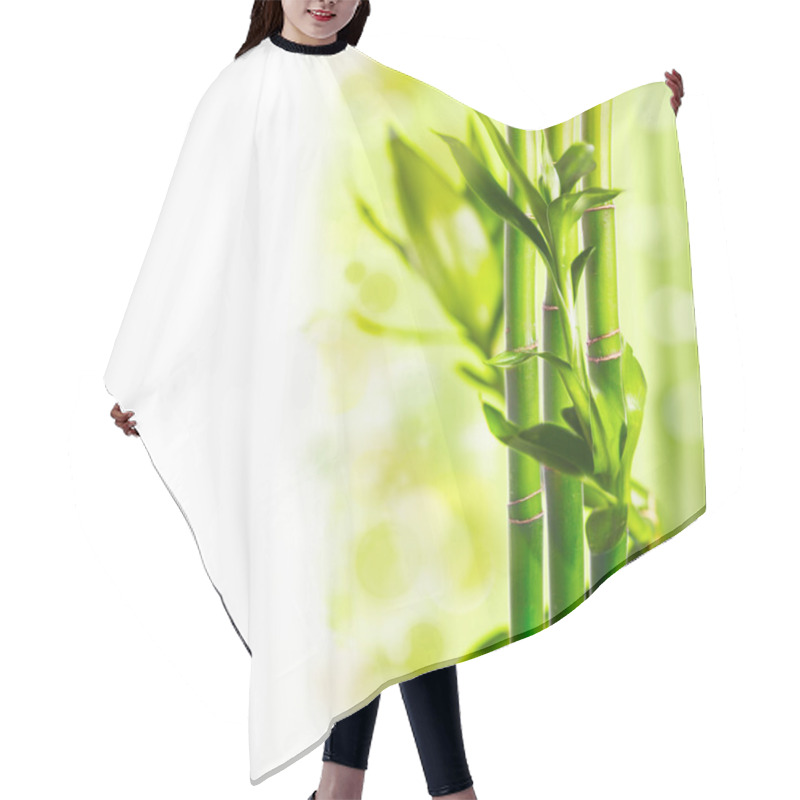 Personality  Green Bamboo Hair Cutting Cape