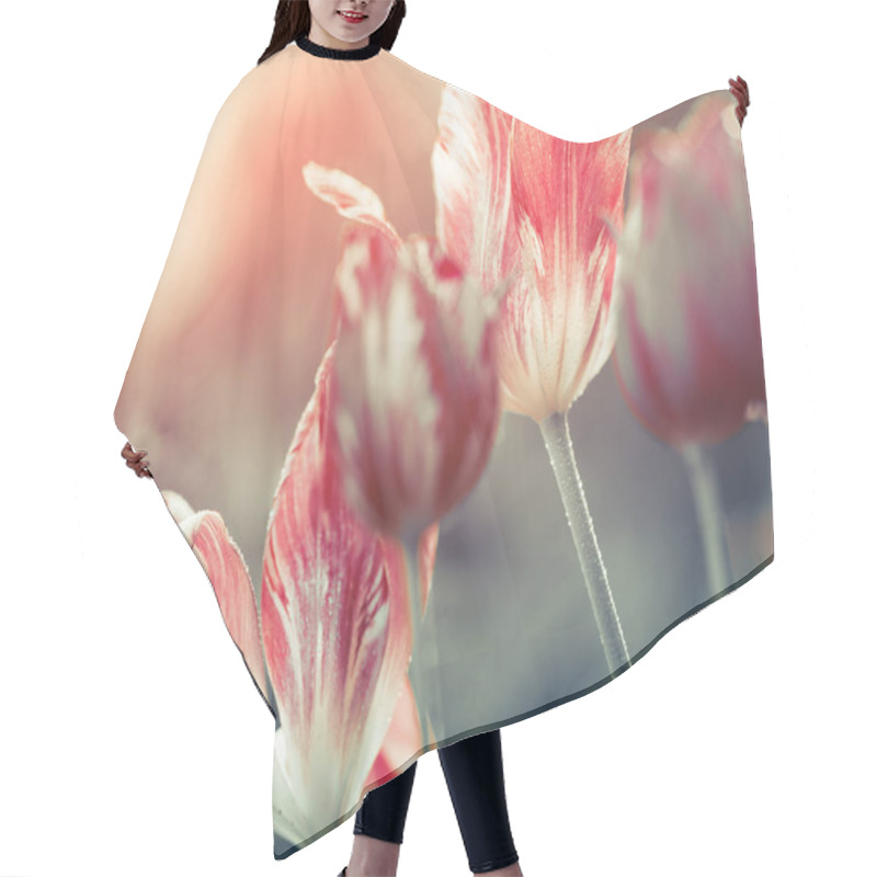 Personality  Springtime Garden Flowers  Hair Cutting Cape