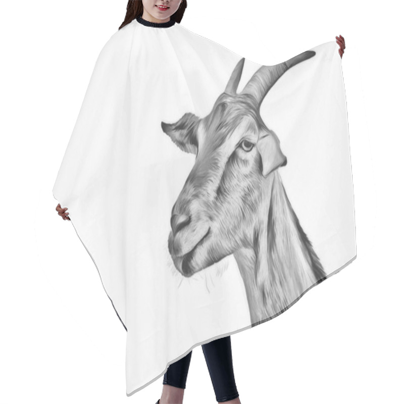 Personality  Drawing Goats, Portrait Hair Cutting Cape