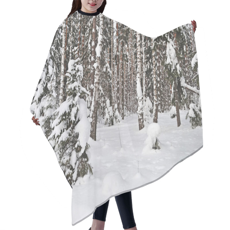 Personality  Fir And Birch Trees Under Snow In Winter Forest, Russia Hair Cutting Cape