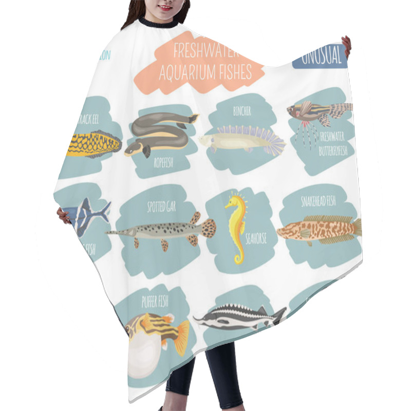 Personality  Unusual Freshwater Aquarium Fish Breeds Icon Set Flat Style Isol Hair Cutting Cape