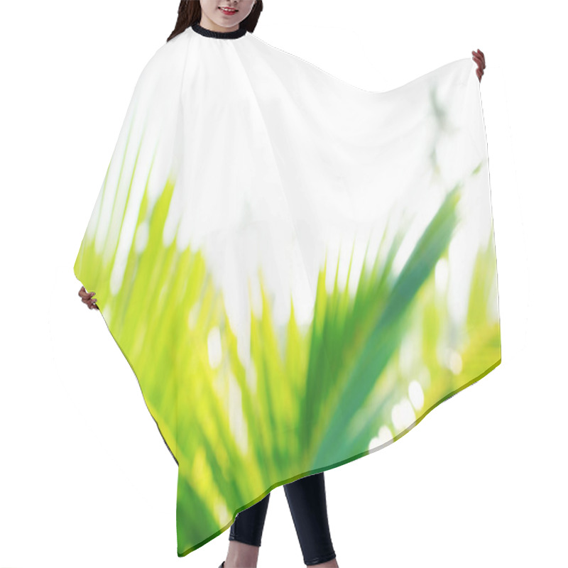 Personality  Defocused Exotic Young Growing Coconut Palm Tree Hair Cutting Cape