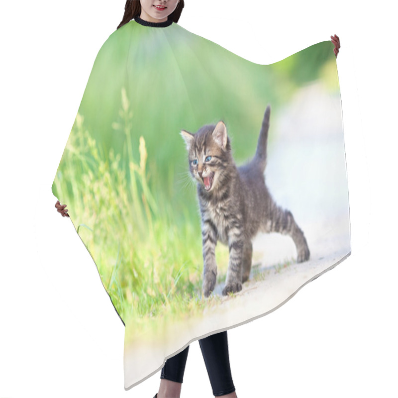 Personality  Little Kitten Staying On The Sandy Road Hair Cutting Cape