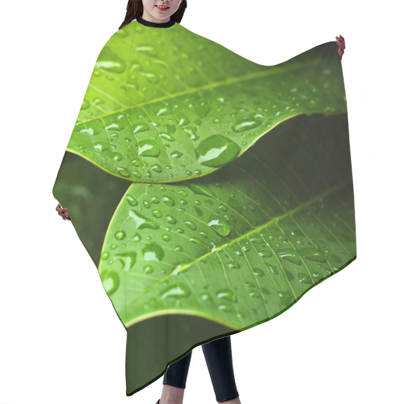 Personality  Green Leaf Hair Cutting Cape