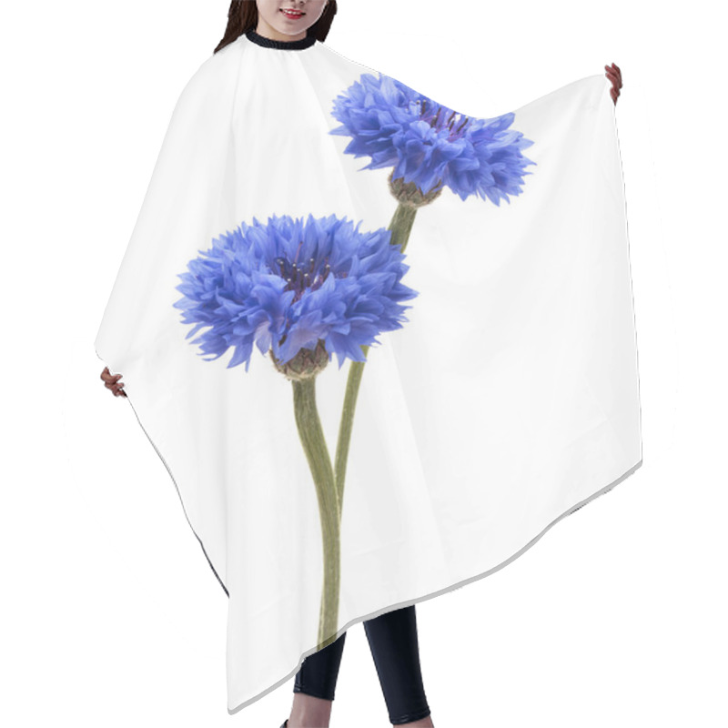 Personality  Blue Cornflowers Herb Hair Cutting Cape