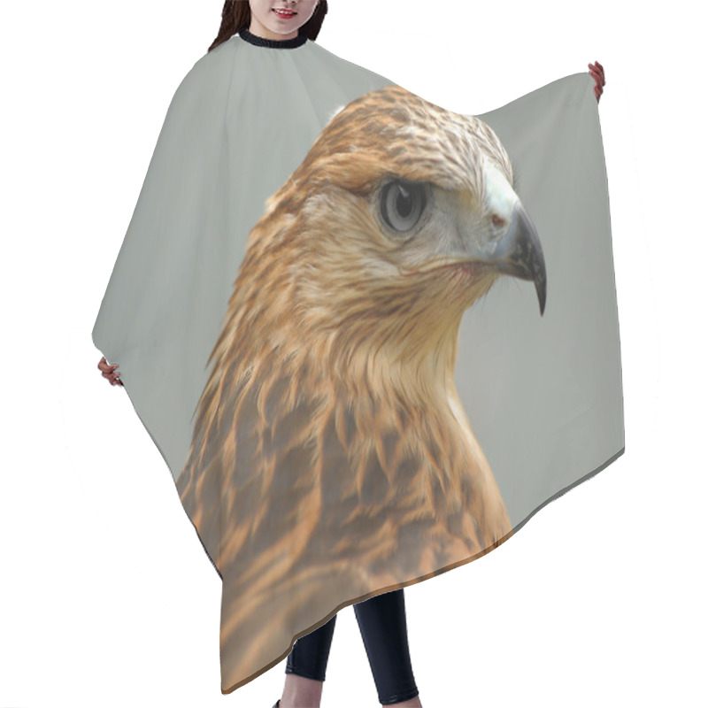 Personality  Portrait Of A Hawk Hair Cutting Cape