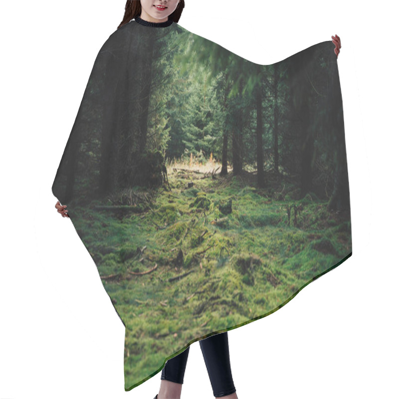 Personality  The Green Lung Of Our Earth - The Forest Hair Cutting Cape