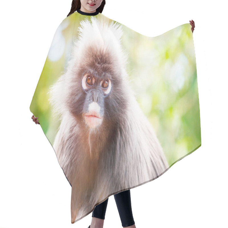 Personality  Dusky Leaf Monkey Hair Cutting Cape