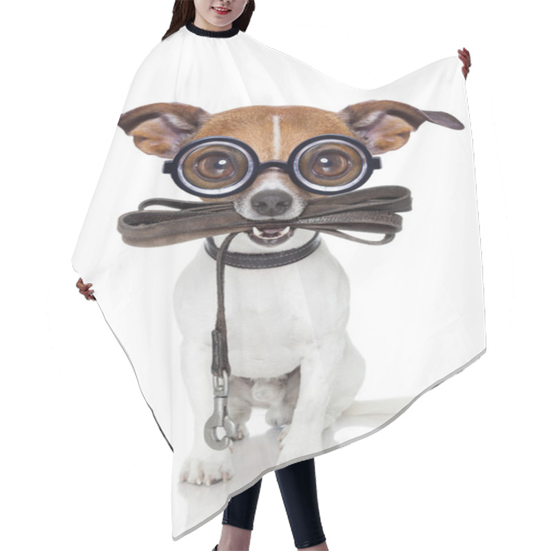 Personality  Silly Crayz Dog Hair Cutting Cape