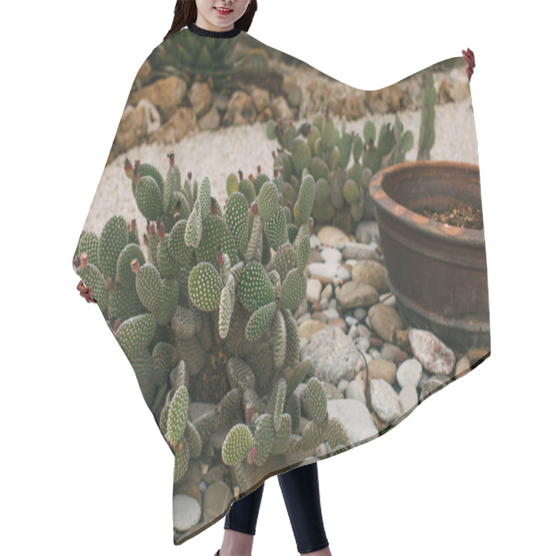 Personality  Blossoming Prickly Pear With Spikes Near Stones  Hair Cutting Cape