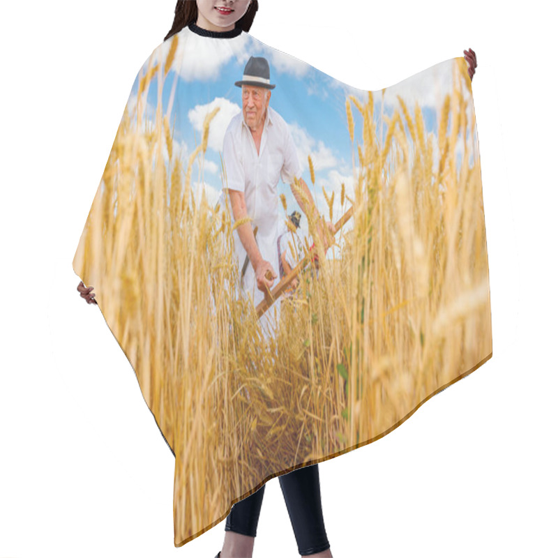 Personality  Muzlja, Vojvodina, Serbia, - July 03, 2021; XXXVIII Traditionally Wheat Harvest. Farmer Is Reaping Wheat Manually With A Scythe In The Traditional Rural Way. Hair Cutting Cape