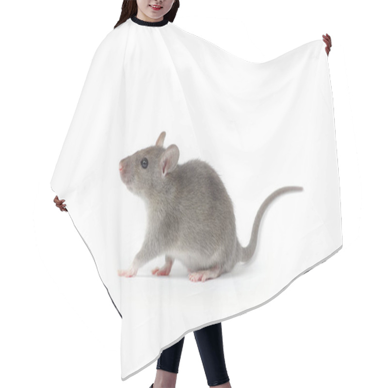 Personality  Cute Gray Rat  Hair Cutting Cape