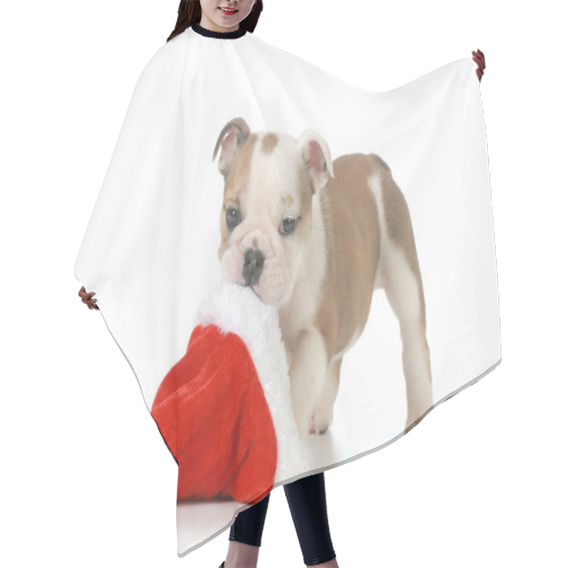 Personality  Christmas Puppy Hair Cutting Cape