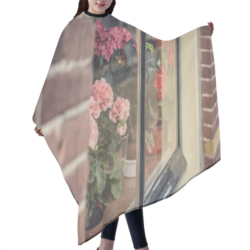 Personality  Room Flowers Behind Window. Hair Cutting Cape