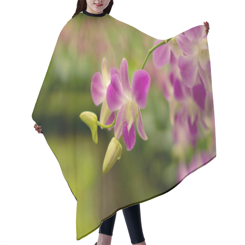 Personality  Bunches Of Pink Petals Dendrobium Hybrid Orchid Bloosom On Dark Green Leaves Blurry Background  Hair Cutting Cape