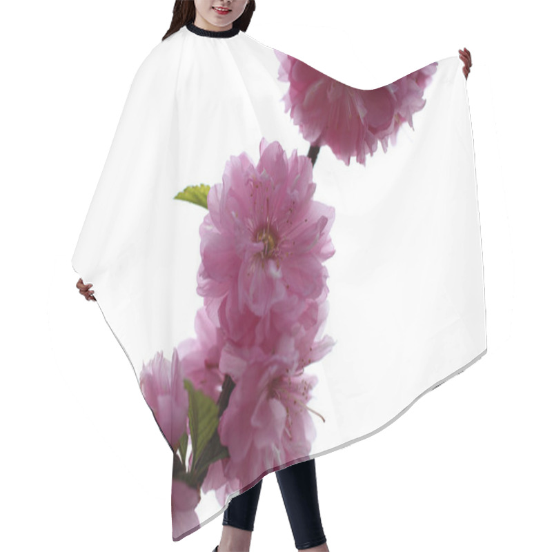 Personality  Sakura. Beautiful Spring Pink Flowers Close Up Hair Cutting Cape