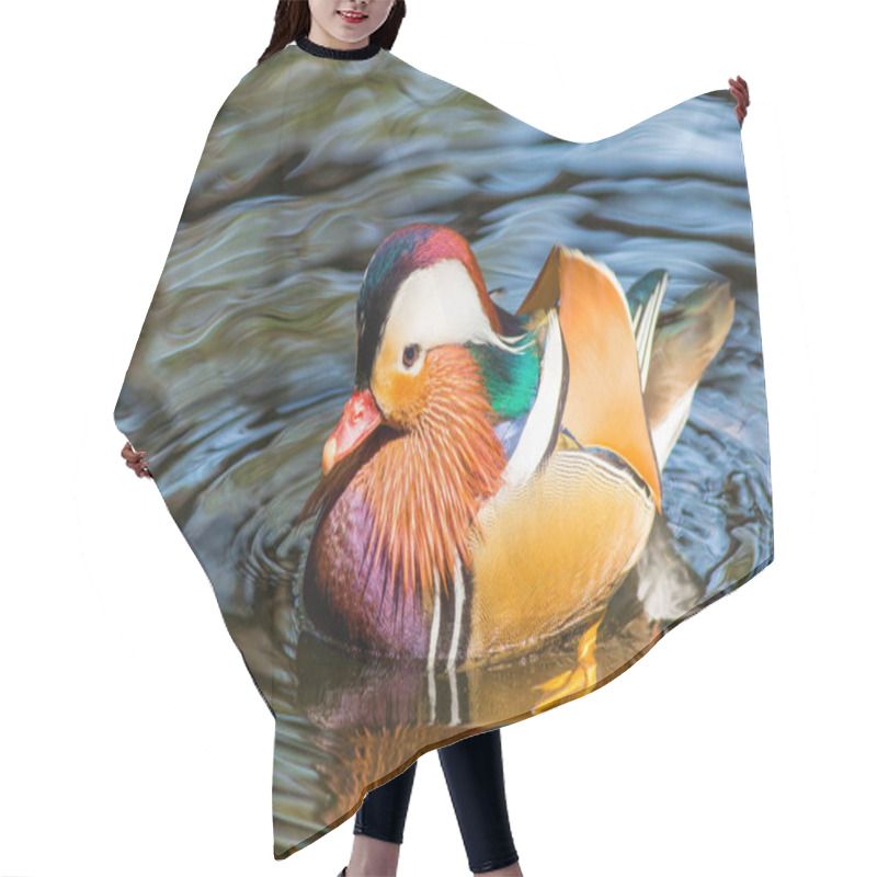 Personality  Mandarin Duck In The Zoo Hair Cutting Cape