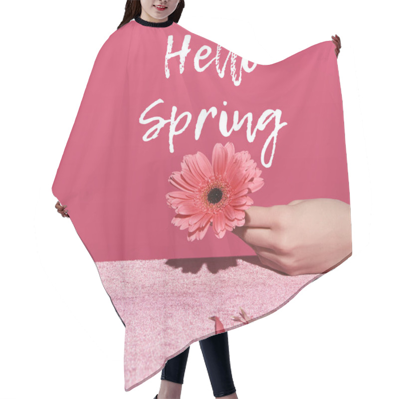 Personality  Cropped View Of Woman Holding Gerbera With Petals On Velour Cloth Isolated On Pink, Hello Spring Illustration Hair Cutting Cape