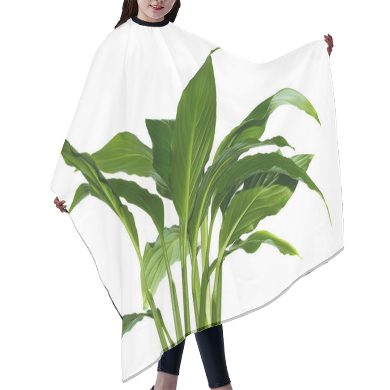 Personality  Green Leaf Hair Cutting Cape