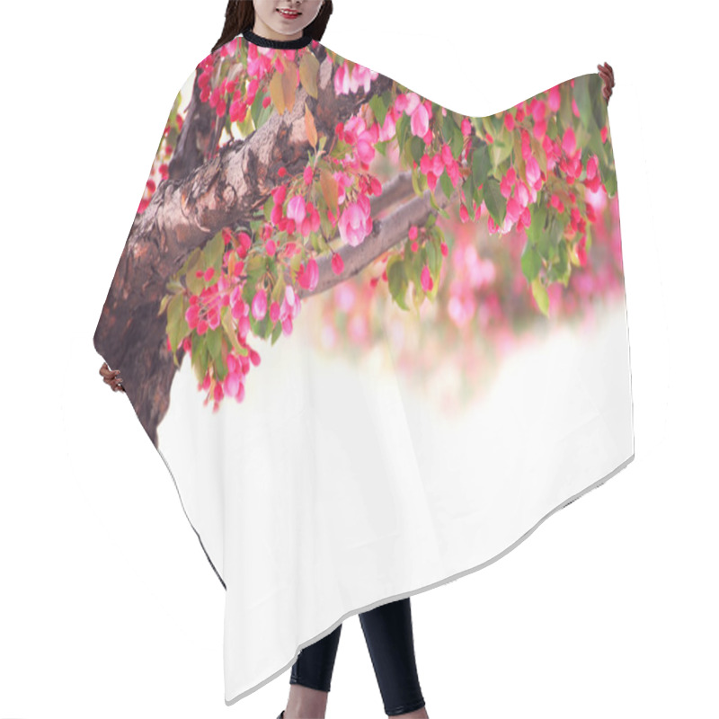 Personality  Apple Tree Hair Cutting Cape