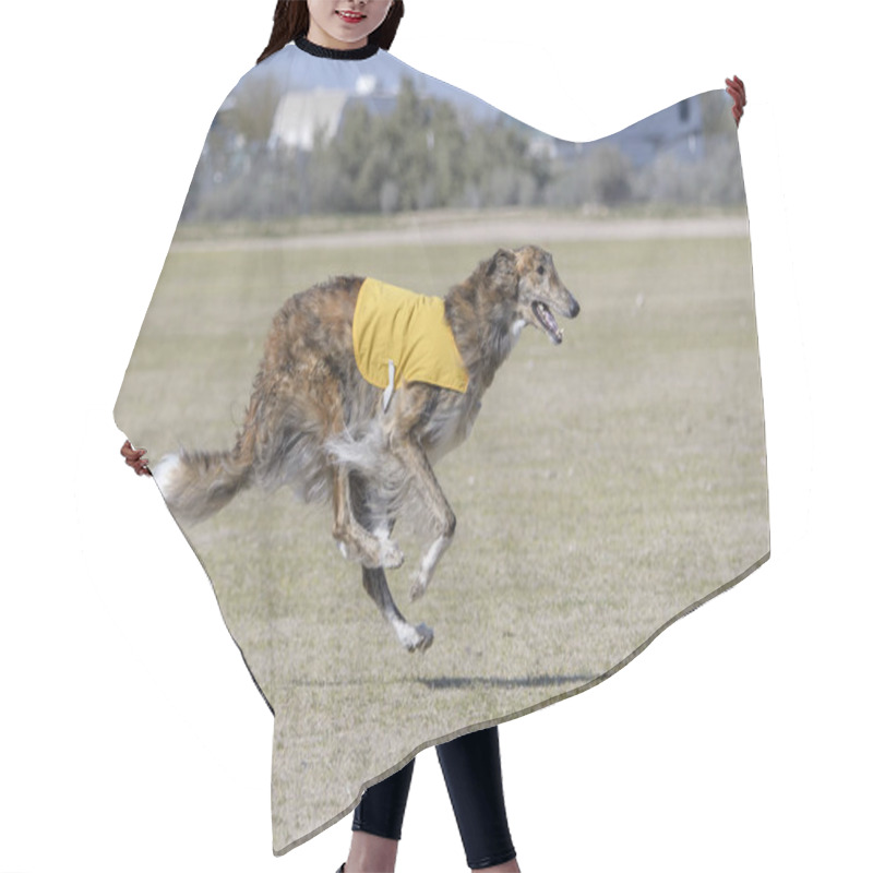 Personality  Borzoi Hound Four Paws Off The Ground Running Hair Cutting Cape